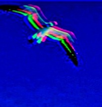 Возможность - прошу себя...