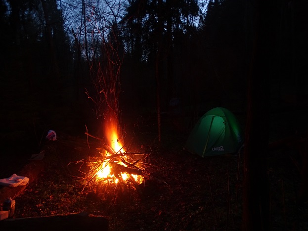 2024г. Настало время стих писать. 1044