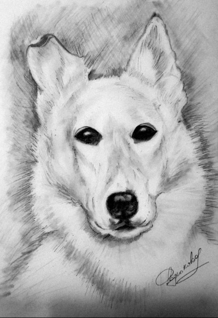 Благородная беспородная