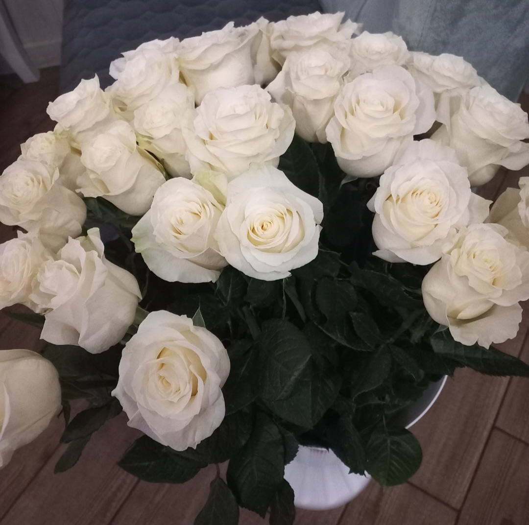 Песнь V - круг 2