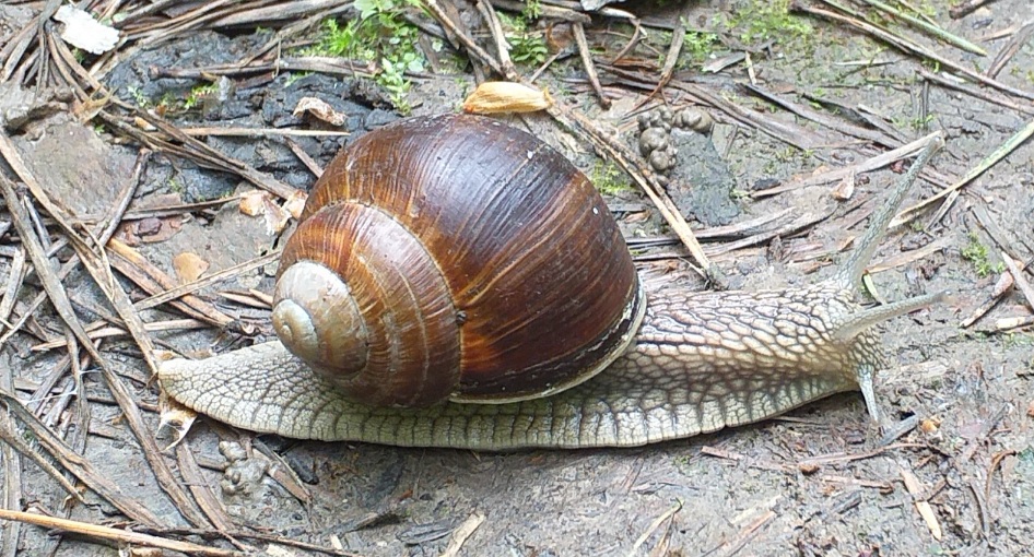 На скамеечку присев