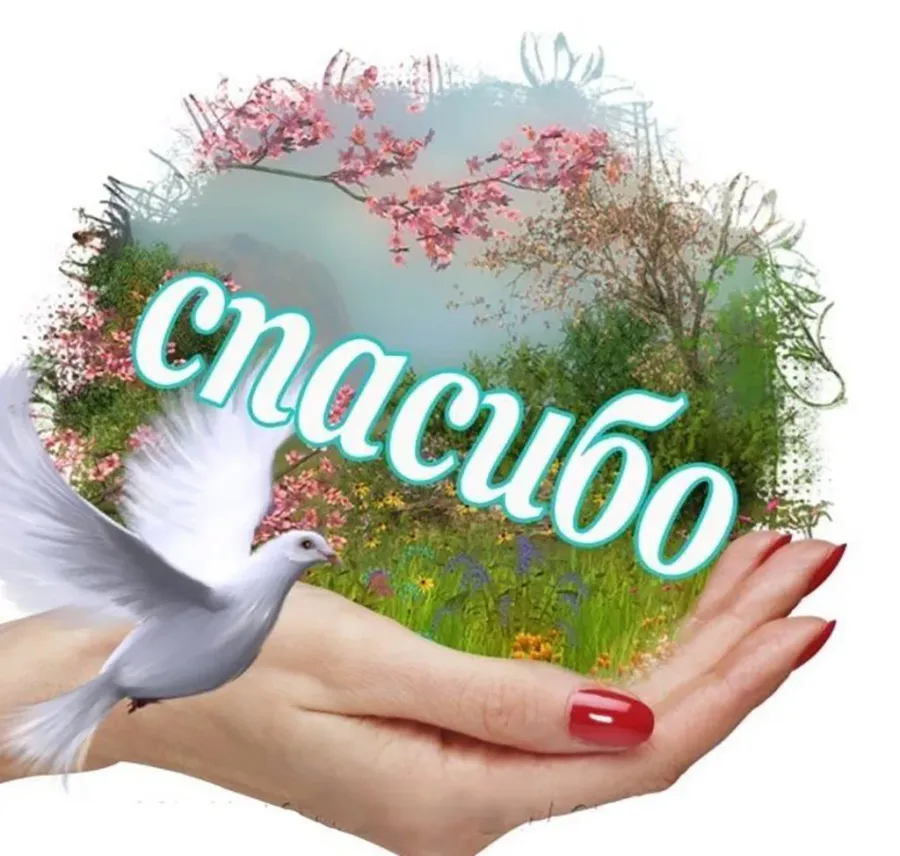 Picture background