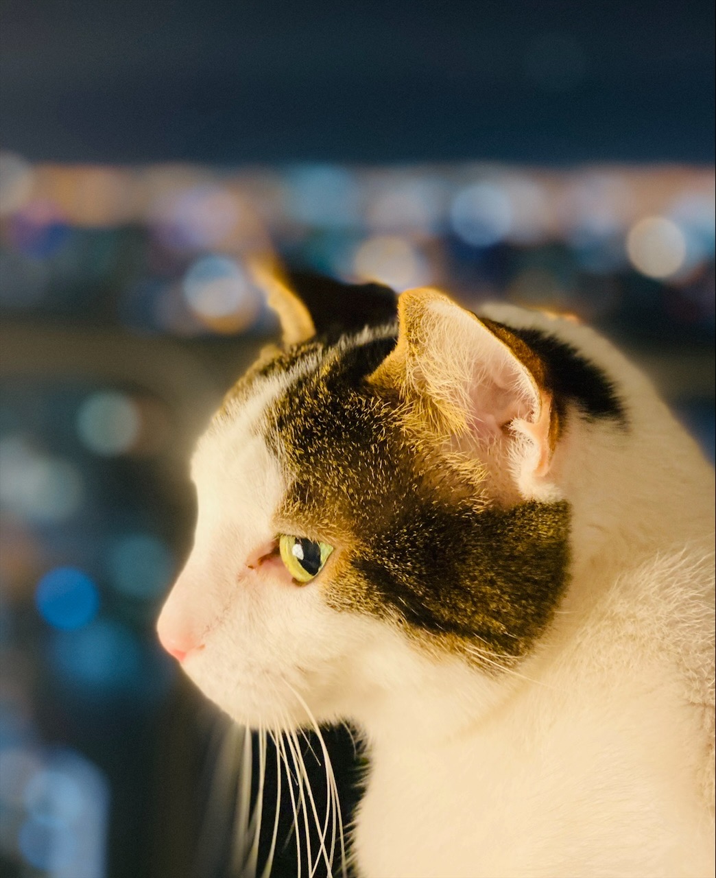 Автопилоты