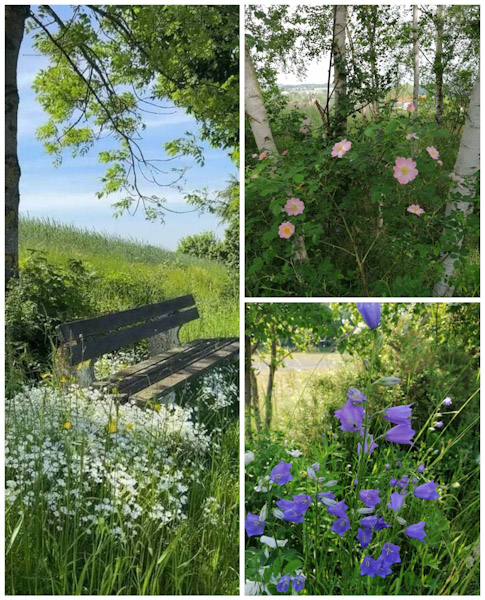 Мы - дети Матери Земли перекличка с В Балясной