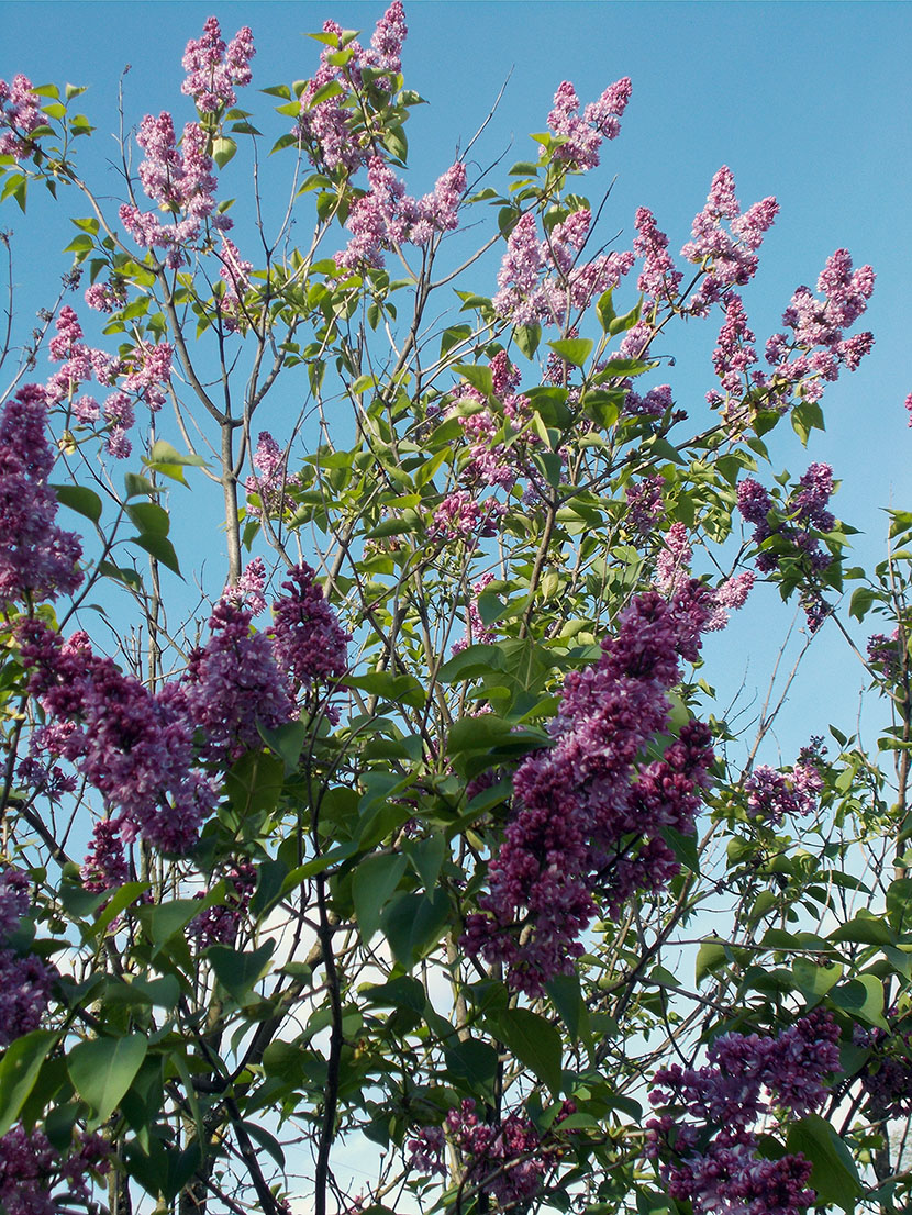 Это разве ты обнимеш,