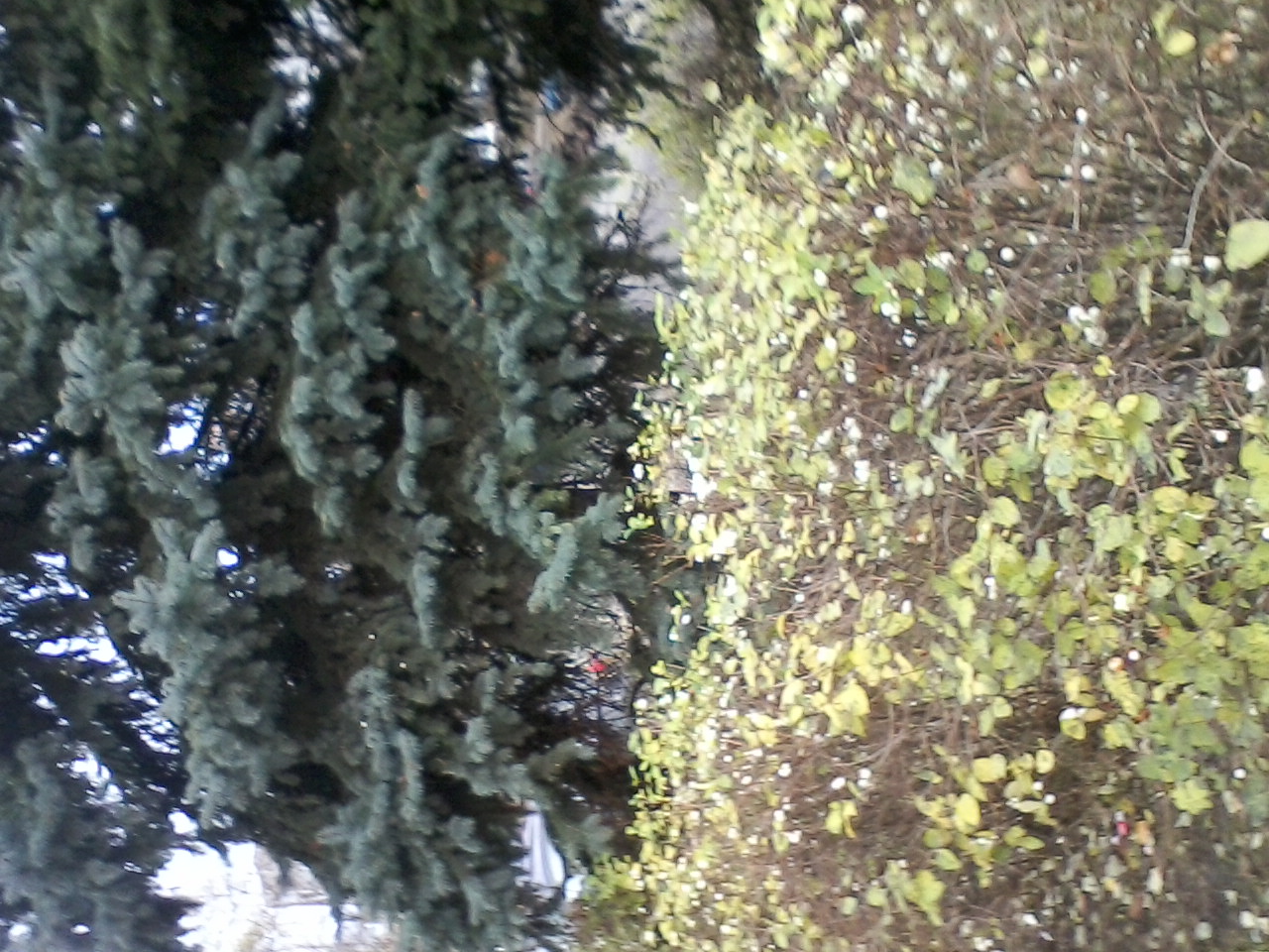 О жизни, смерти и бессмертии