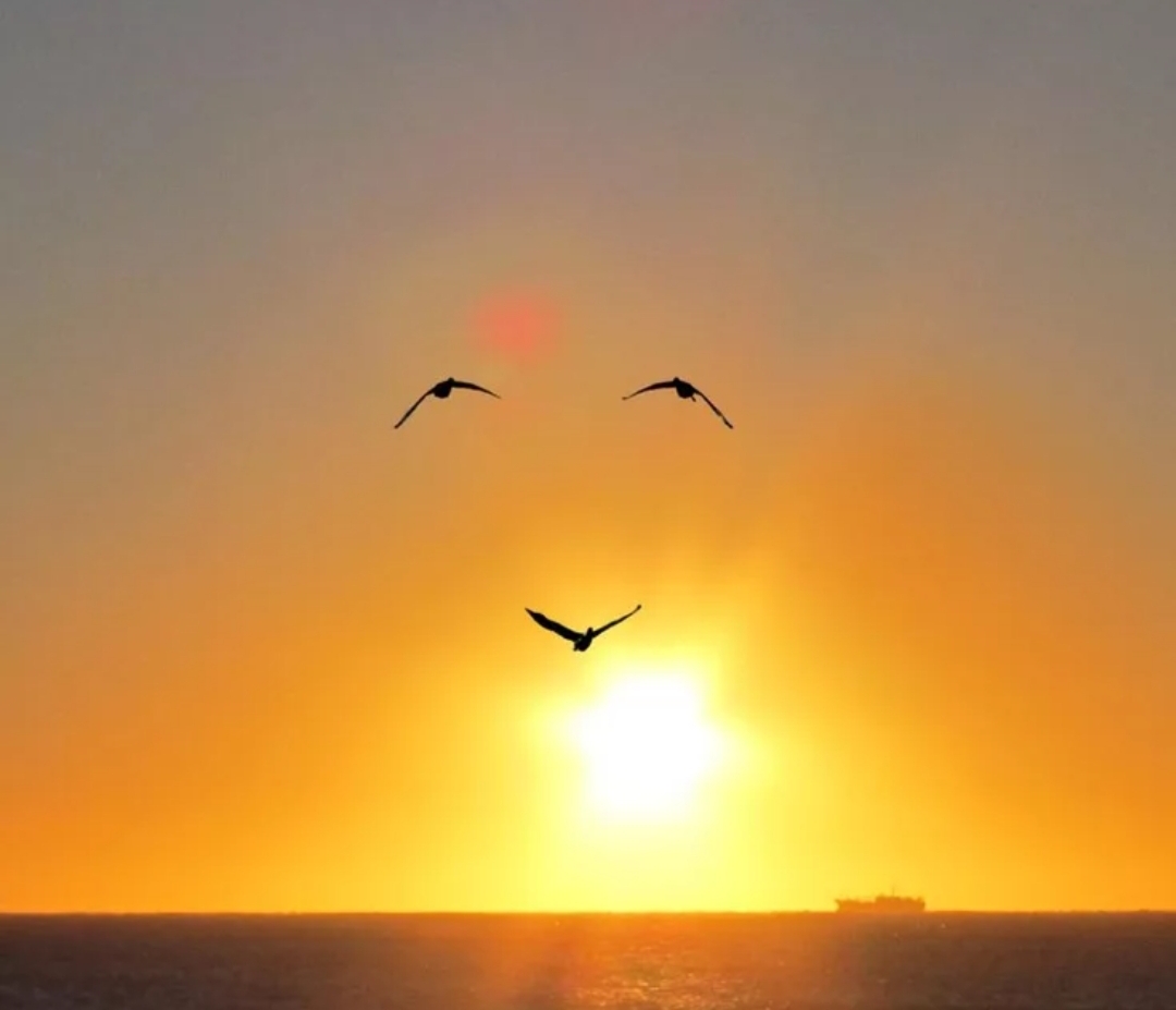 В любви дилетант