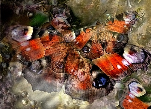 Путаный сон