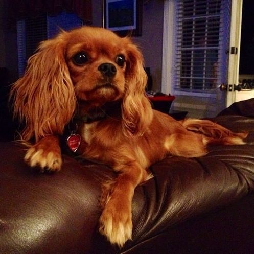 17. Ключик золотой