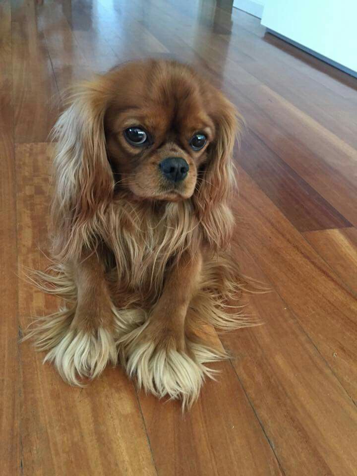 20. Нежный ангел Эля