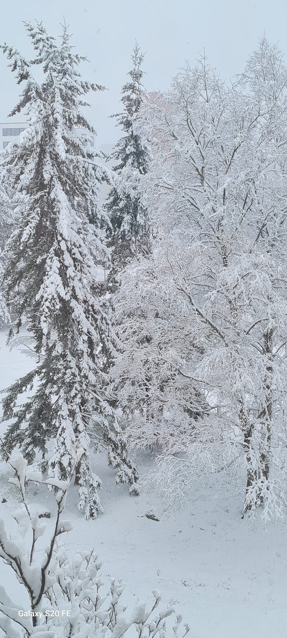 Пьяный апрель