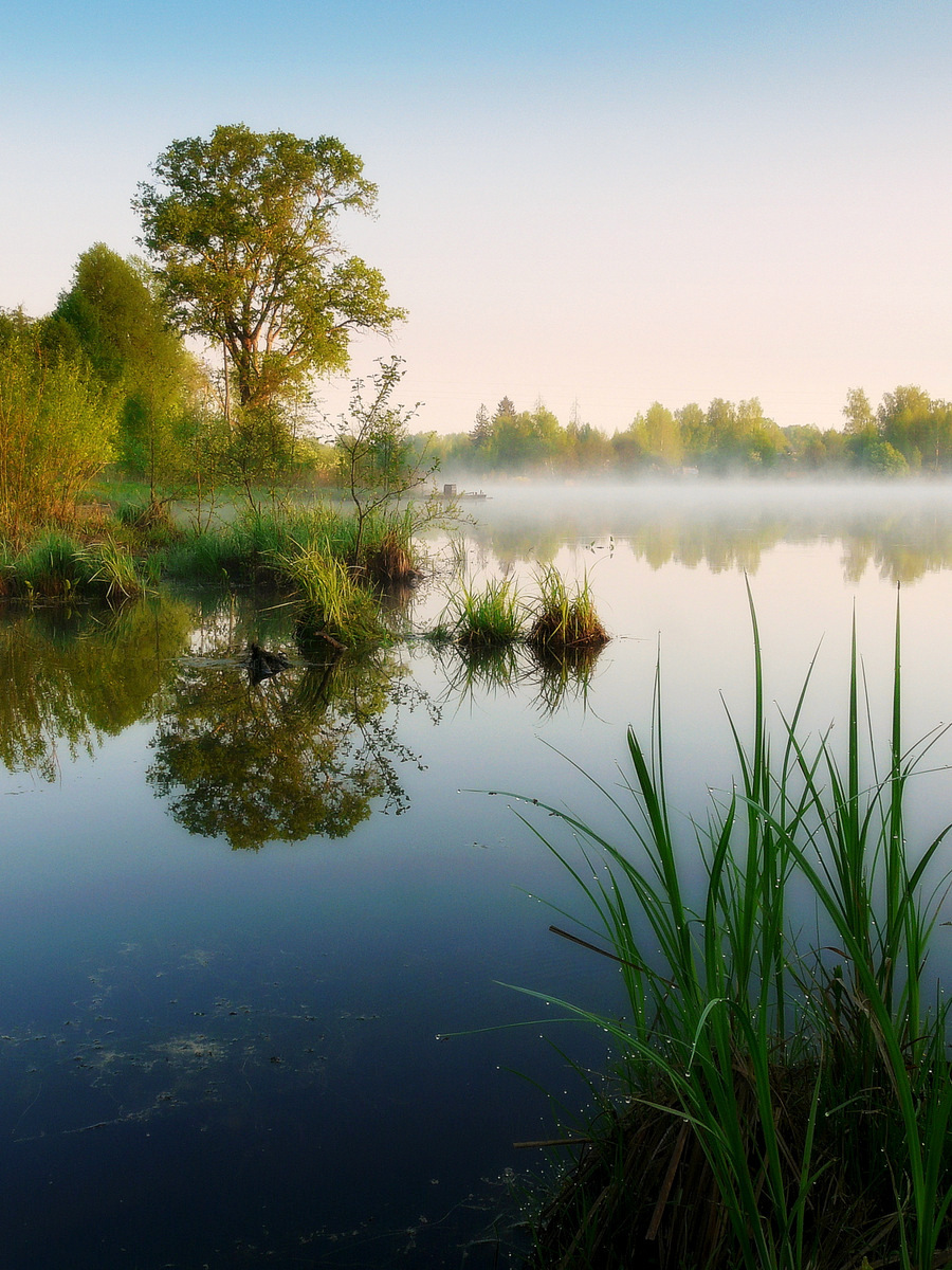 Двадцать пятое мая 2024 г
