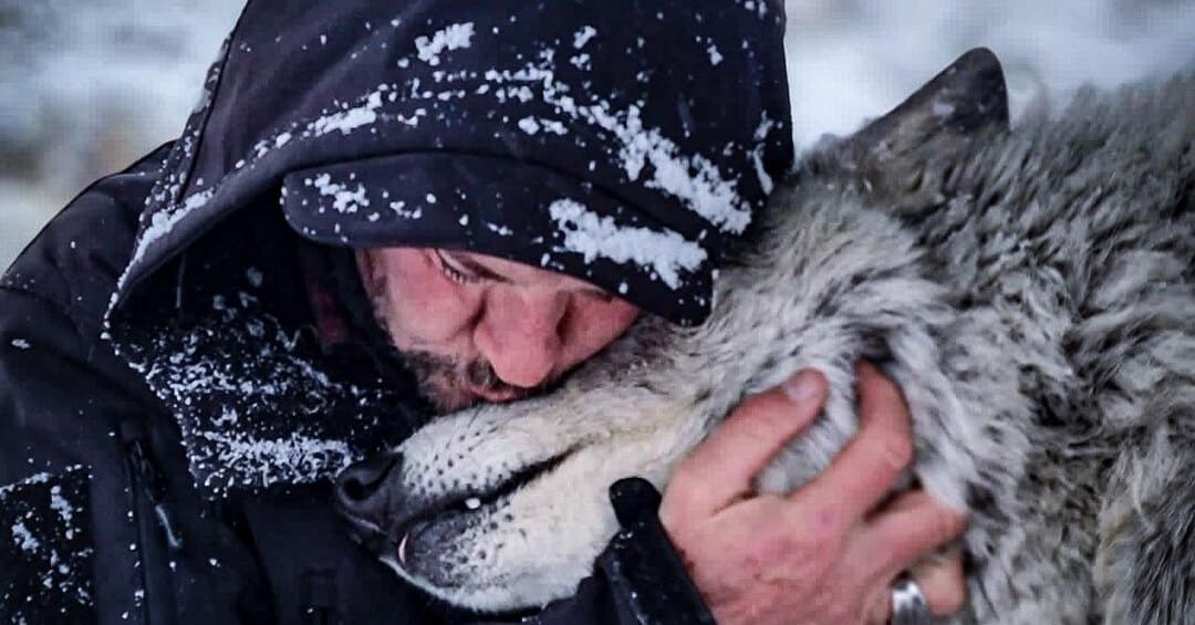 Таёжная зарисовка
