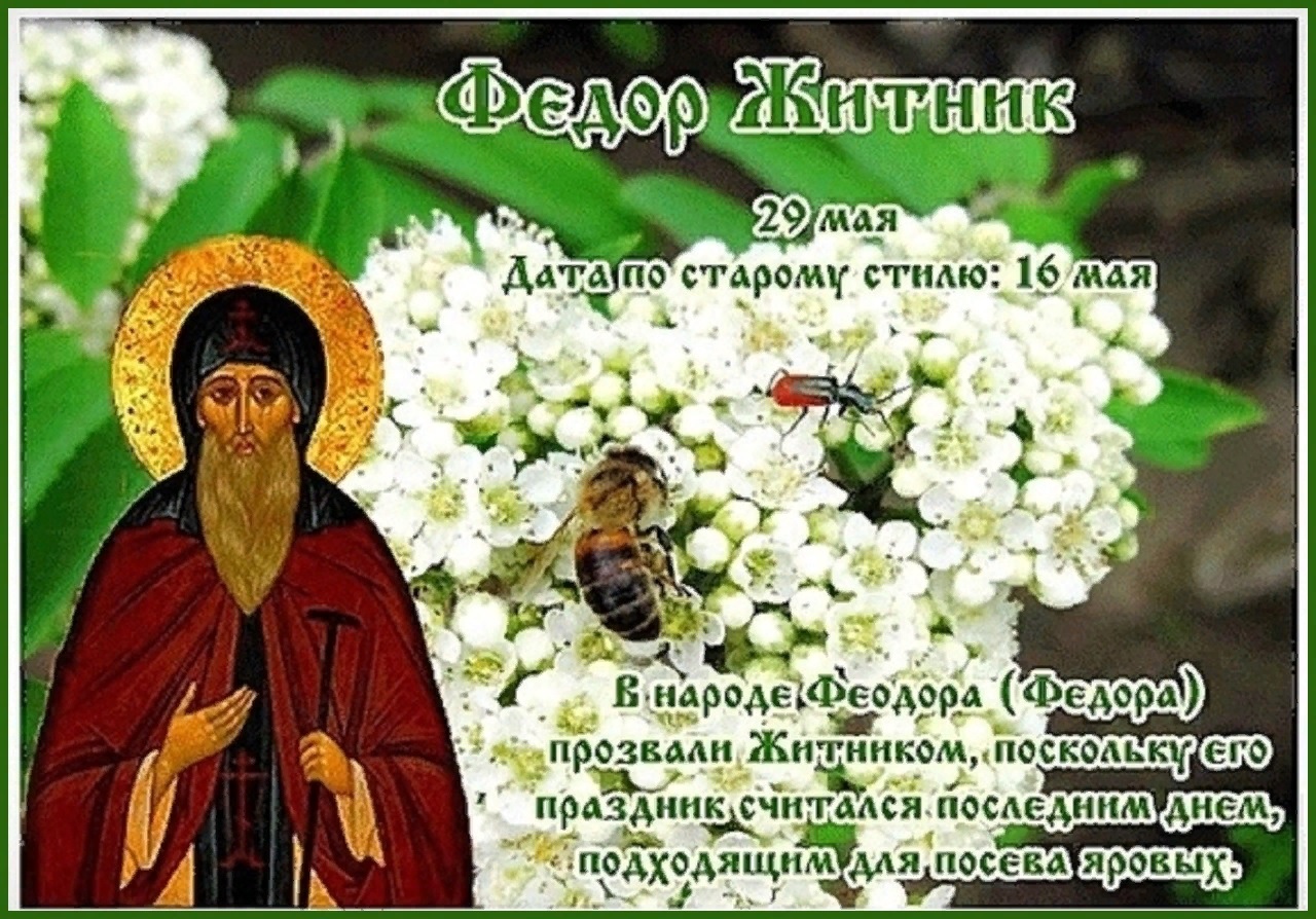 День какого святого сегодня календарь Фёдор Житник 29. 05 (Владимир Власов) / Стихи.ру
