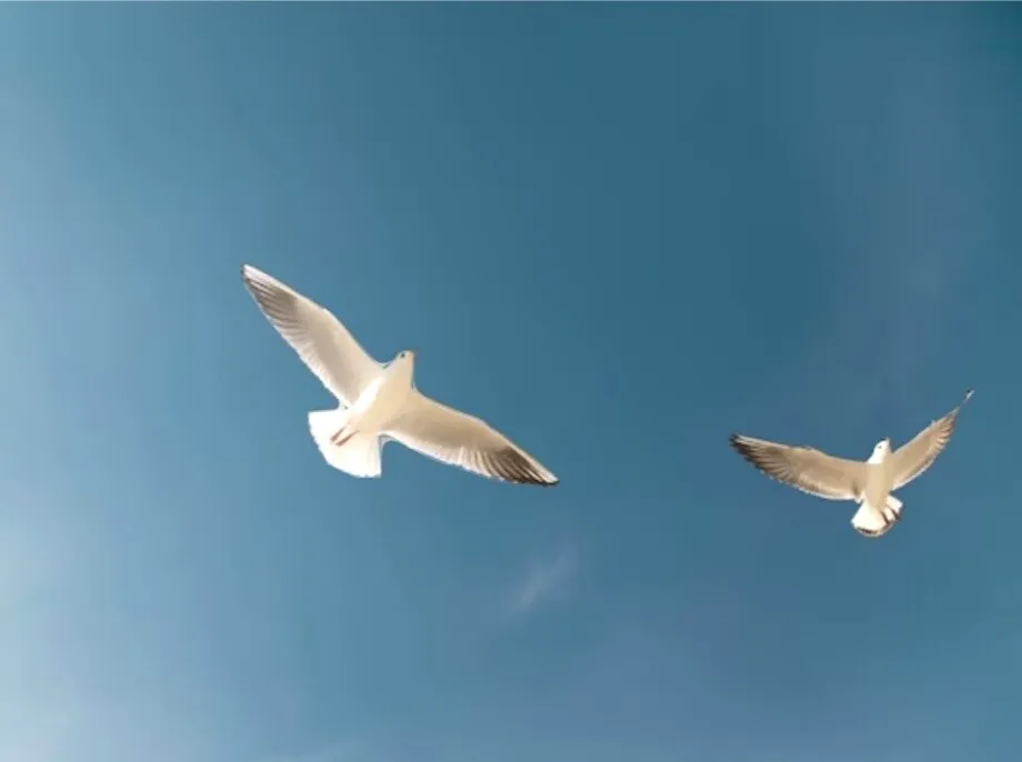 Уже и ангел им готовил встречу