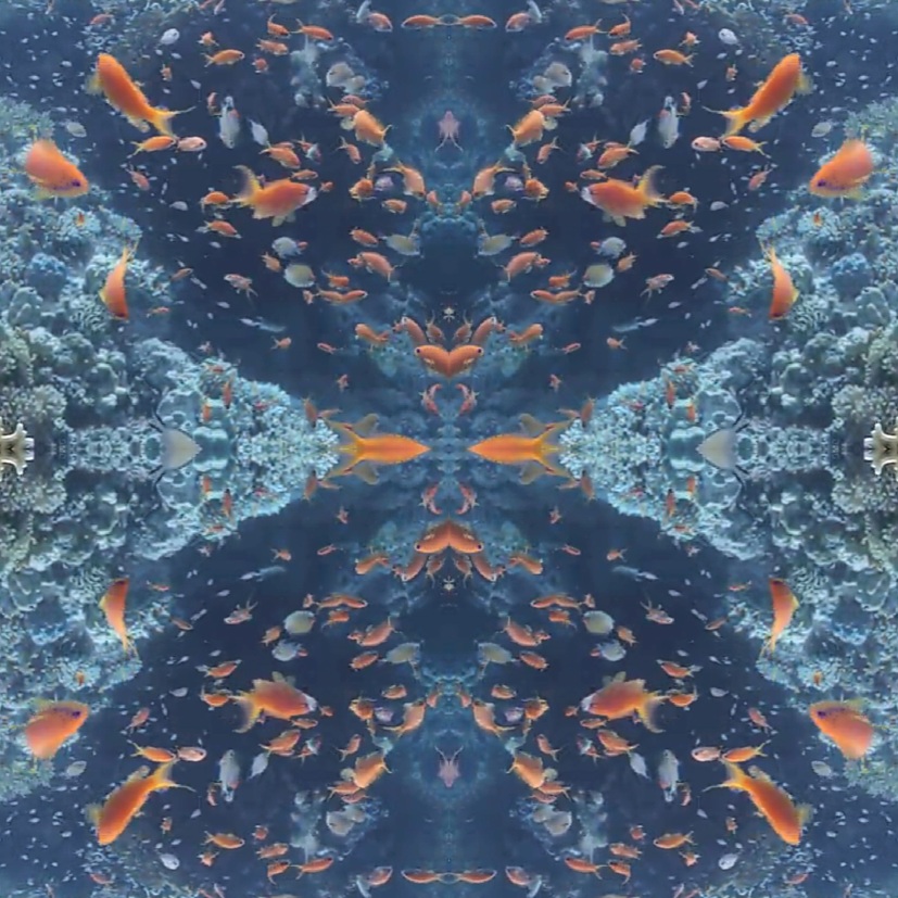 Обусловленности - прошлое прилипло к стопам...