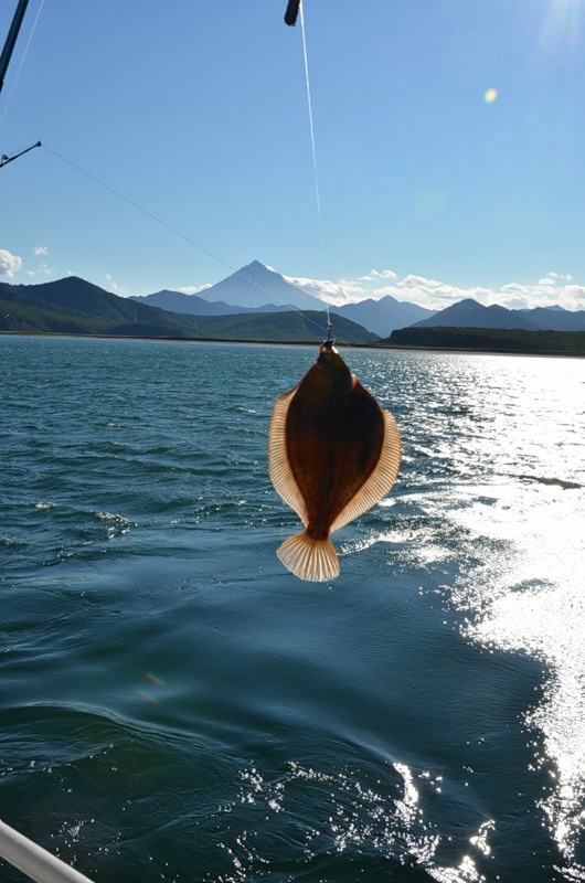 Гиперборей