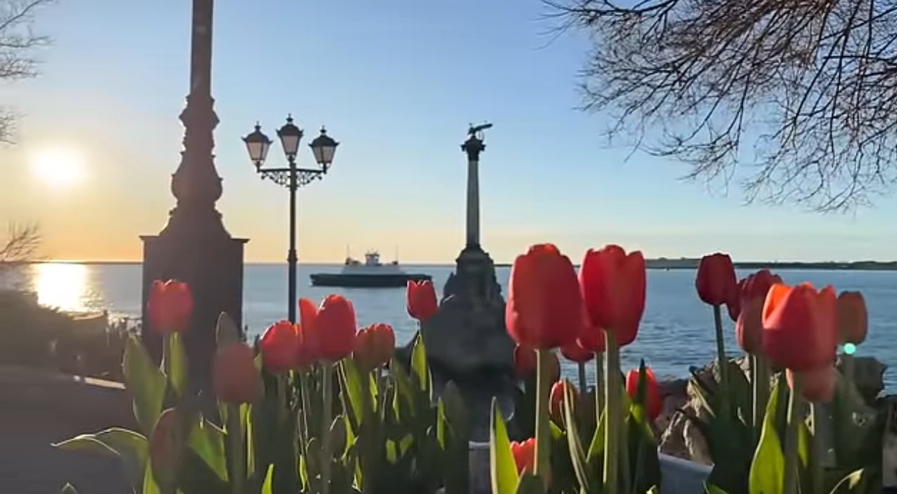 Соратники - свет Родины...