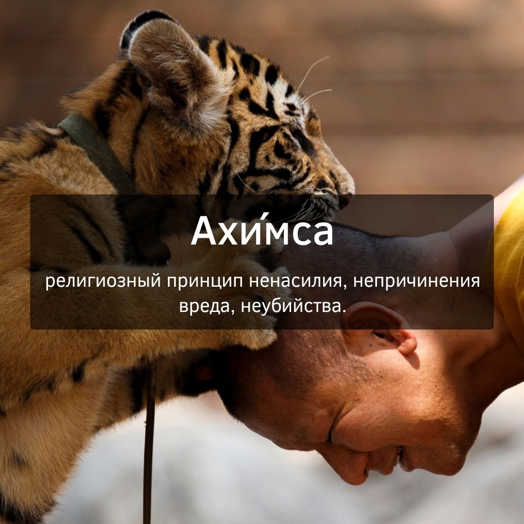 Просто делай