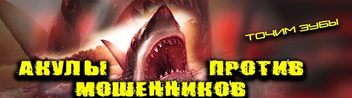 Выплывают, расписные или Утро инвестора