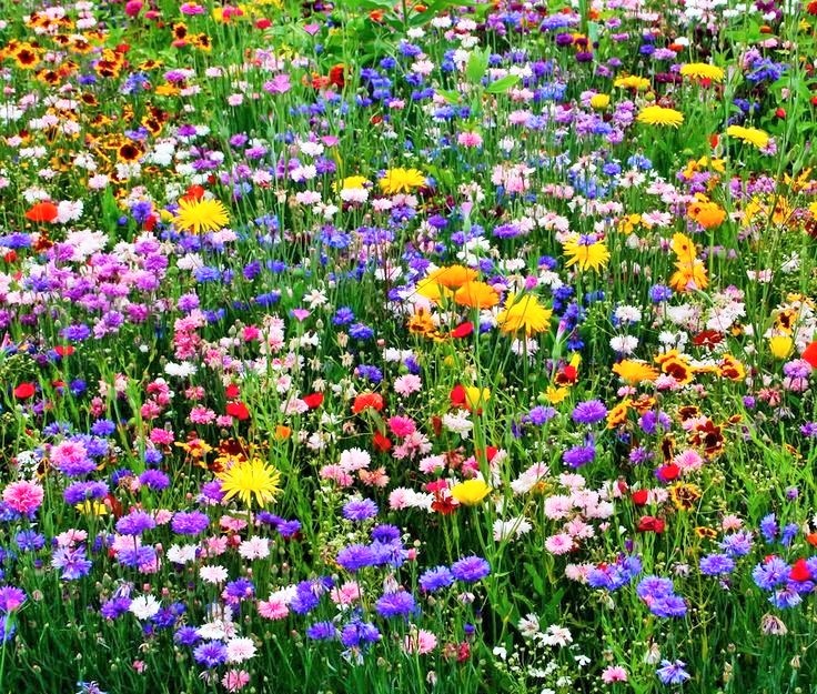 Доброта сближает