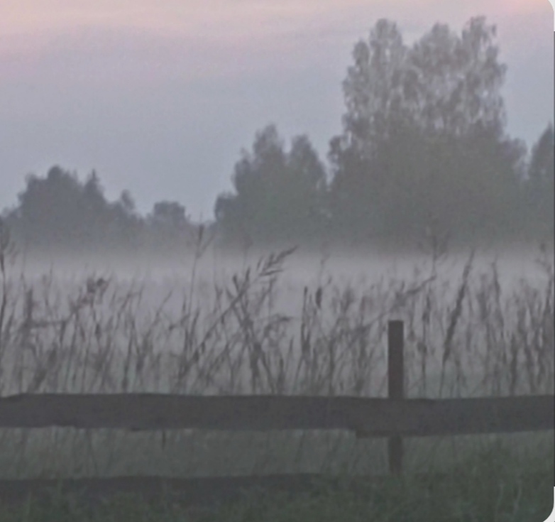 Вечер, во поле туманы