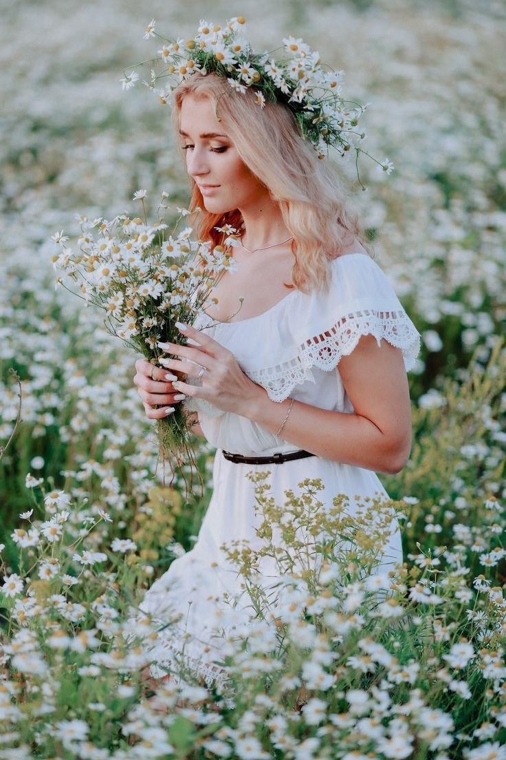 Расцвели ромашки