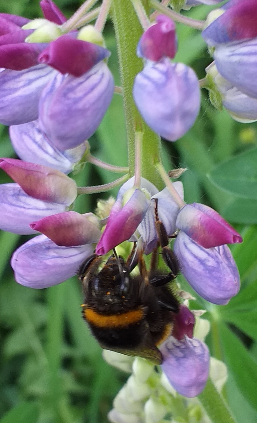 Вкусить с утра