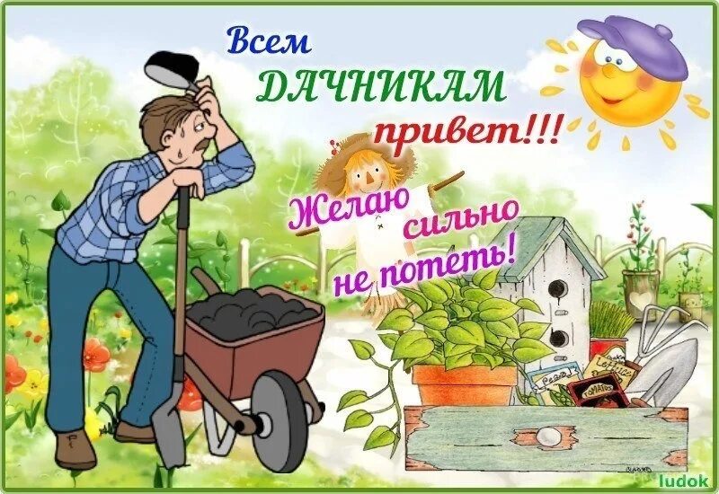 Пин от пользователя Ir IrKo на доске Юмор Милые открытки, Смешные открытки, Разн
