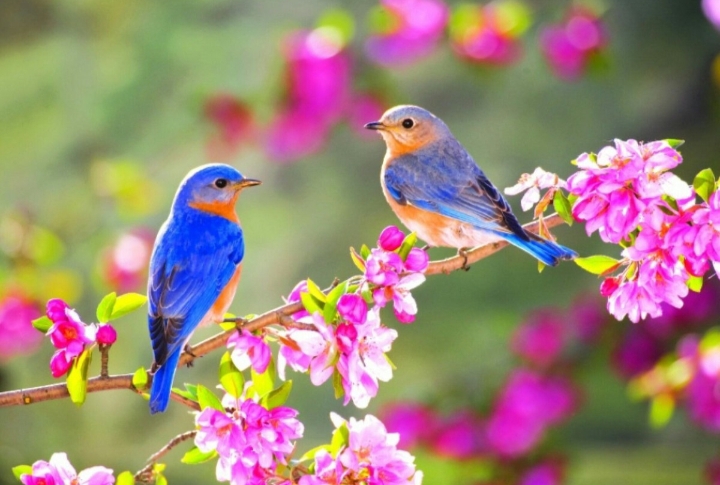 Каждое мгновение - подарок