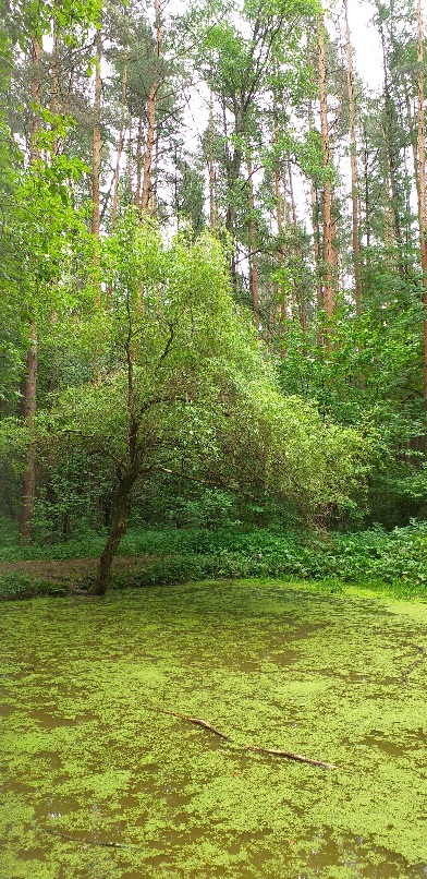 Уныло
