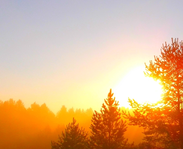 Небо, в мерцании звёздных скоплений...