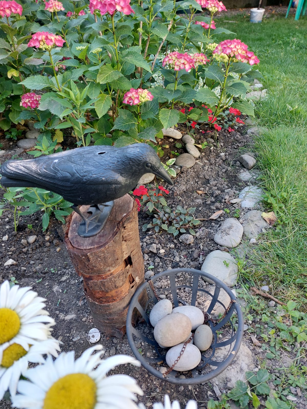 Утренние экспромты в саду