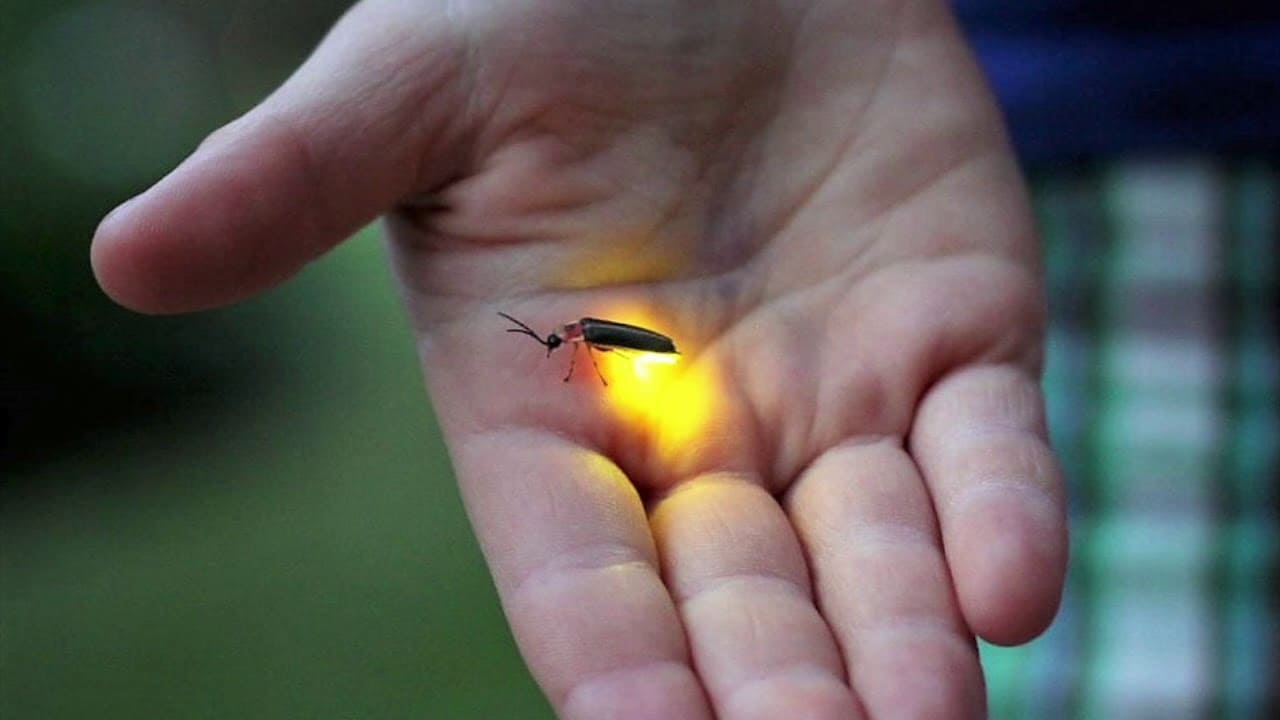 Ночник- подарок. Чтобы спать было не страшно