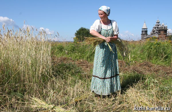 Сладкий сон патриотки