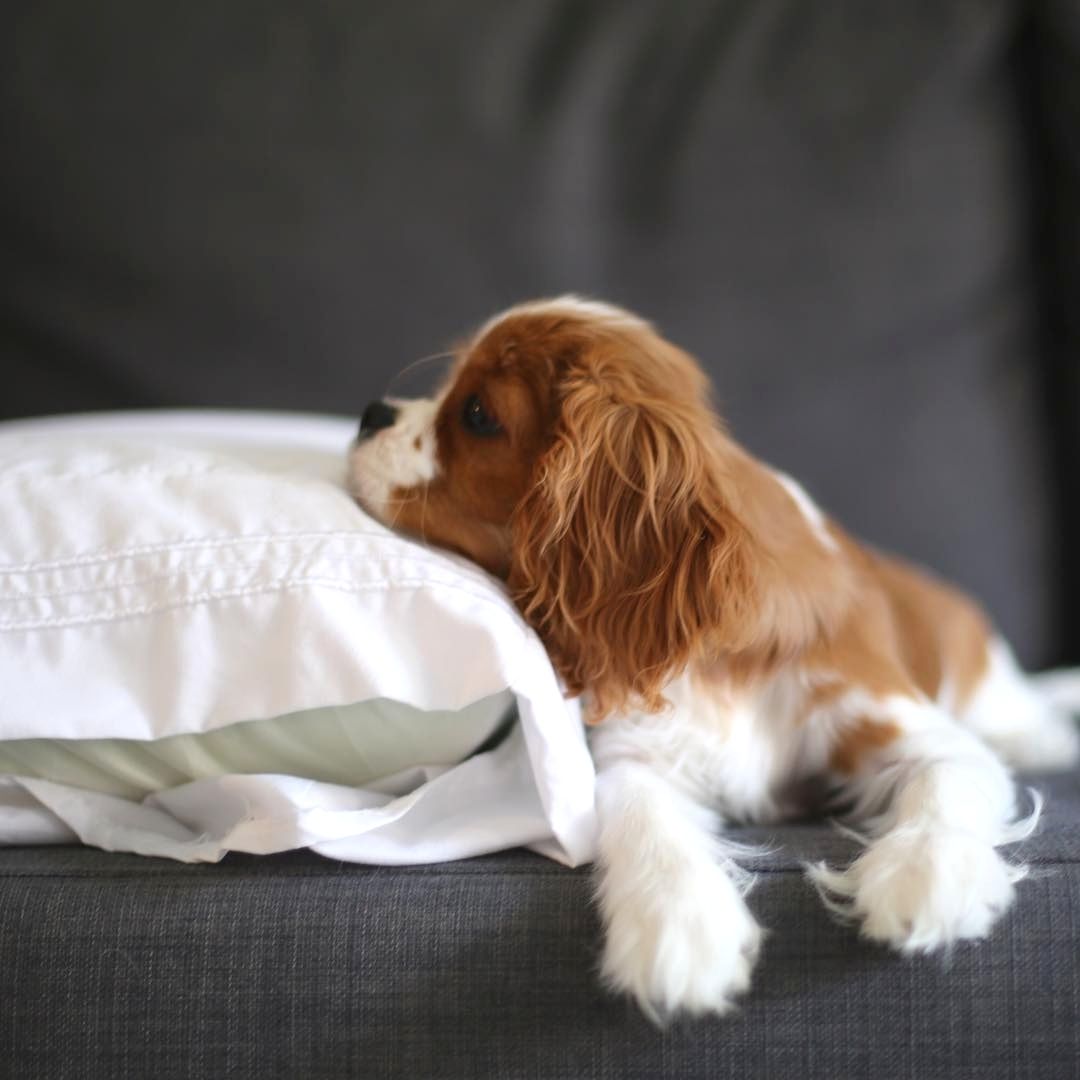 21. Моё нежное счастье