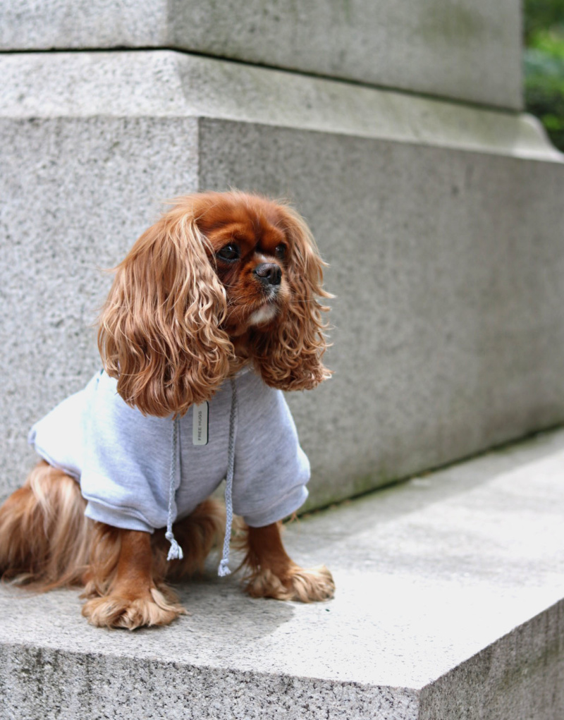 24. Модница. Эскиз