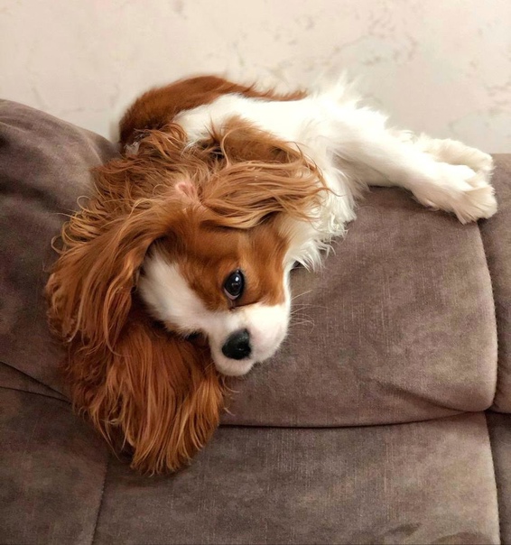 26. Чуткий сон