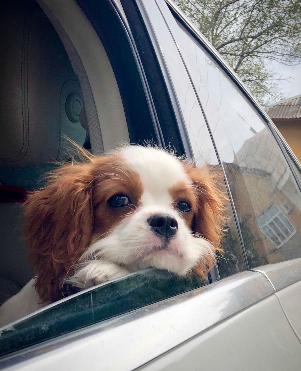 27. Мудрая крошка Элина