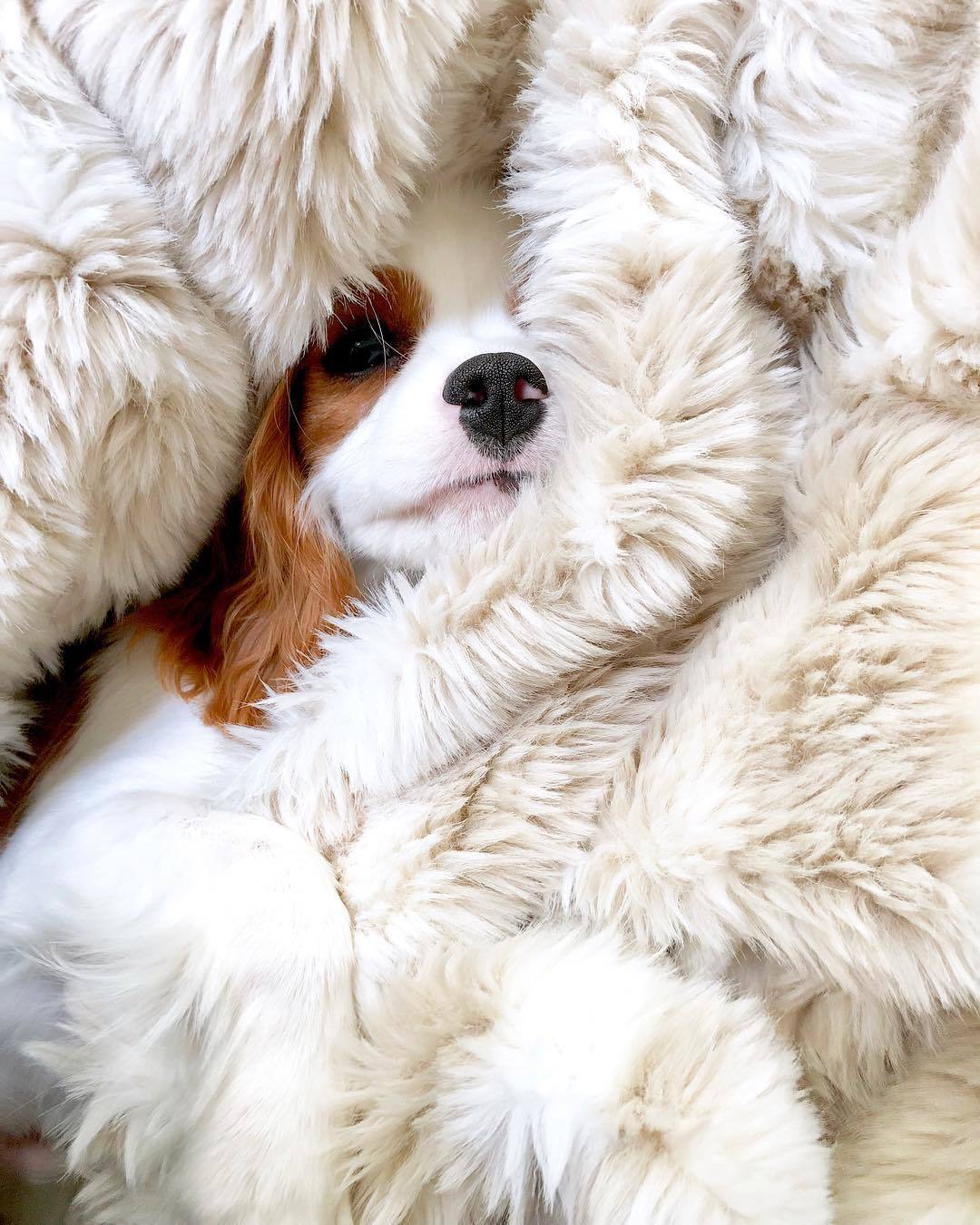 28. Отважная Элинка