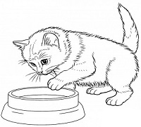 Кошка