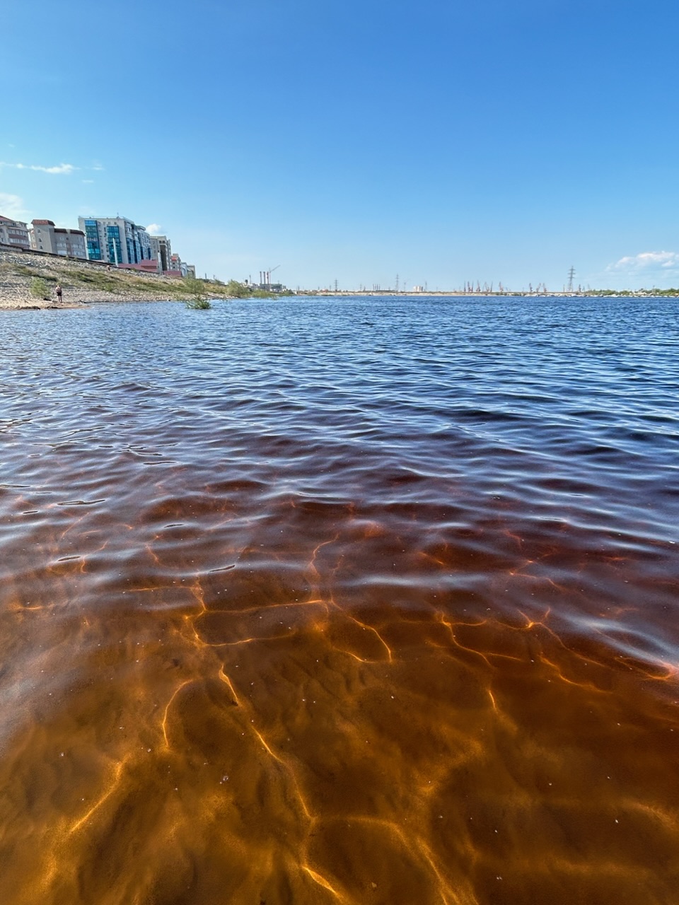 Медовые соты на отмели сели. реке Лена