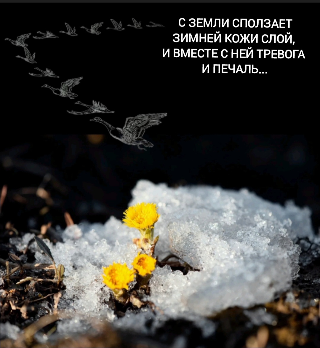 Обновление