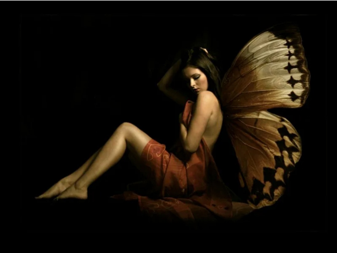 Лёгкость бытия