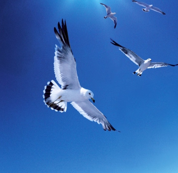 Обусловленности - у каждого, своя дорога...