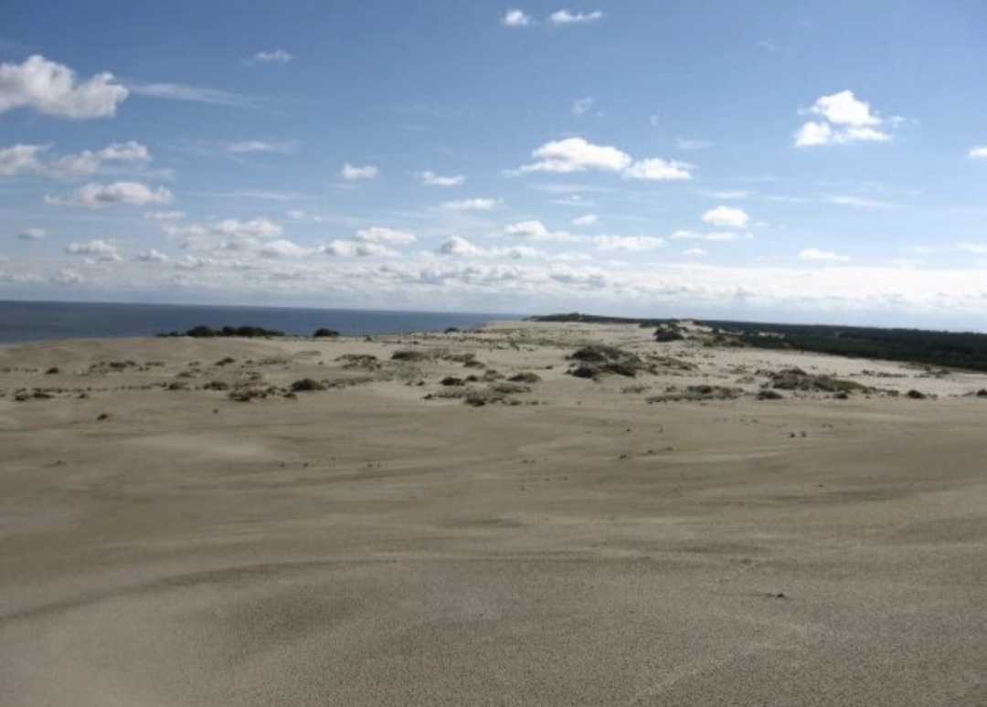 Вдыхаю жизнь