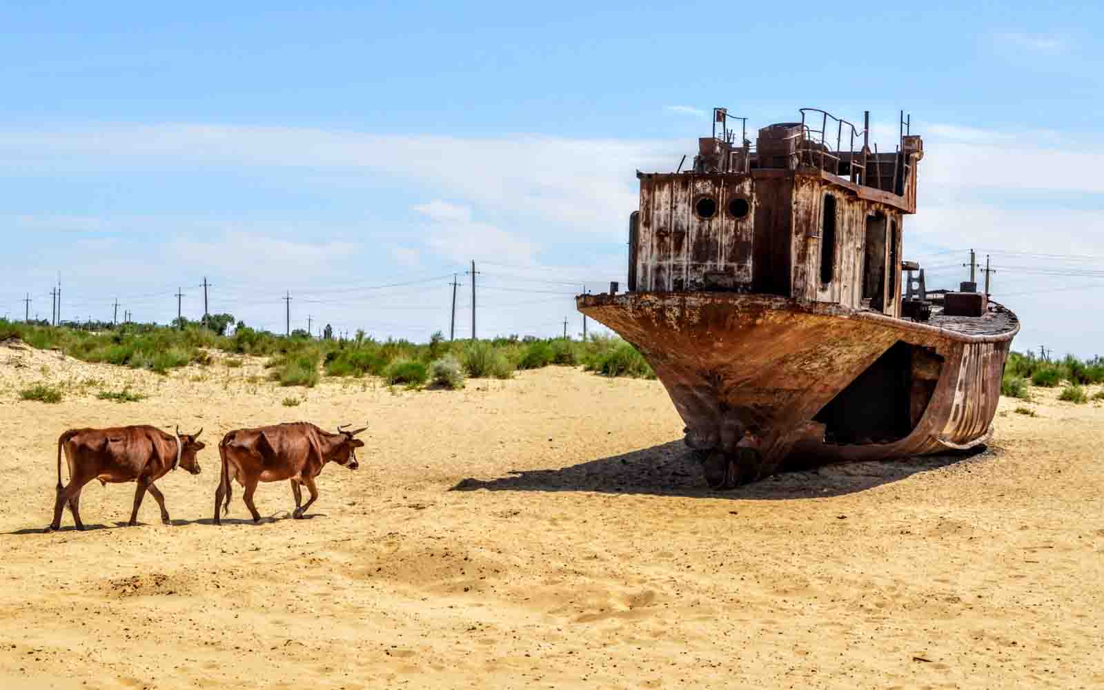 Аралкум