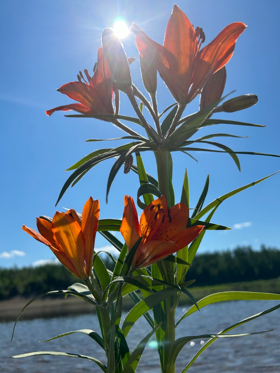 Взяв дар Айыы реке Амга