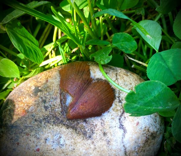 Мне остаётся петь и танцевать