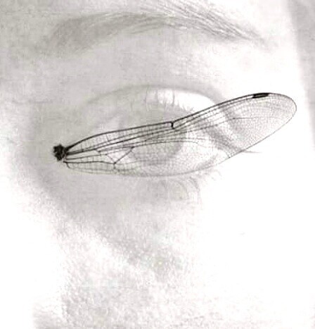 Мне тебя обещали